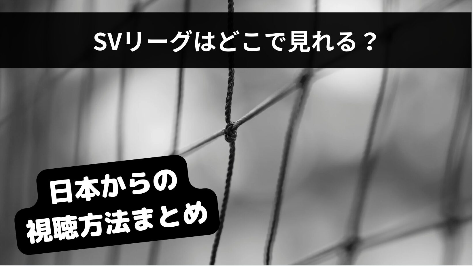 SVリーグ2024-25はどこで見れる？配信・放送それぞれの視聴方法まとめ